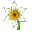 Narcisă