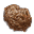 Lut